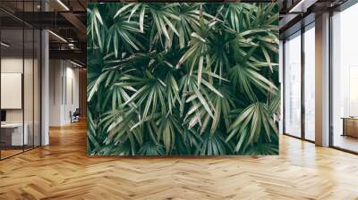 Tropical green leaf background, Dark tone theme. Wall mural