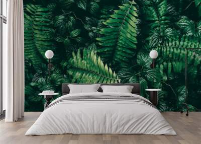 Tropical green leaf in dark tone. Wall mural