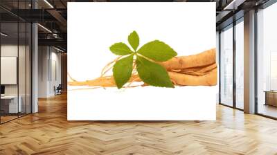 Ginseng and eleutherococcus trifoliatus leaf on tranparent background. Wall mural