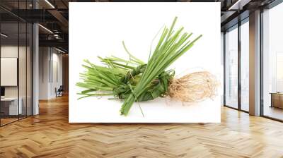 Vetiver grass or chrysopogon zizanioides isolated on white background. Wall mural