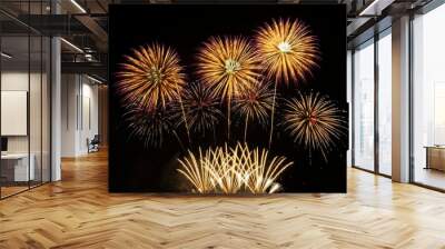 Spectacular Multicolored Firework Bursts in Dark Sky Wall mural