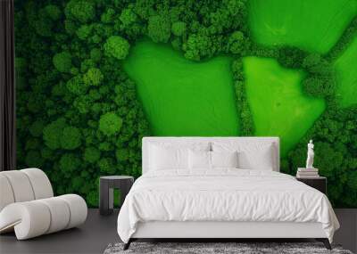 green fields and jungle top view. Wall mural