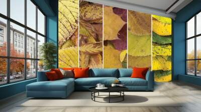 Collage of yellow, green, red and brown autumn leaves Wall mural