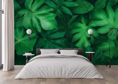 A lush green forest with many trees and plants Wall mural