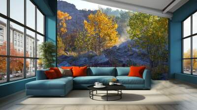 Two different autumn trees (yellow, green) at sunrise in the mountains in the rays of the morning sun and light fog Wall mural