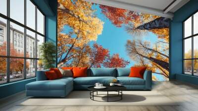 upward view of two tall trees with leaves in the vibrant colors of autumn Wall mural