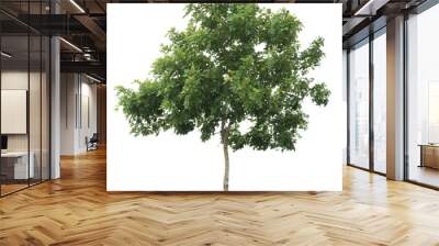 isolated tree Wall mural