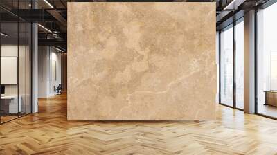 Brown stone surface, background, texture Wall mural