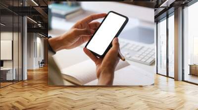 Man hands holding smart phone with blank screen for your text message or information content. Wall mural