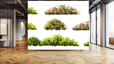 Vertor set of spring blossom tree,bloomimg plants side view for landscape elevation and section,eco environment concept design,watercolor illustration,colorful season Wall mural