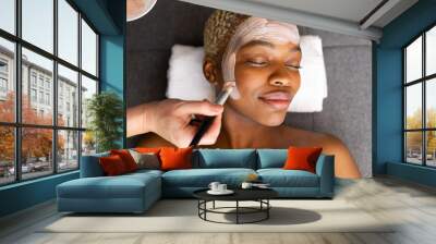 Hand of beautician giving facial to smiling african american woman with brush Wall mural