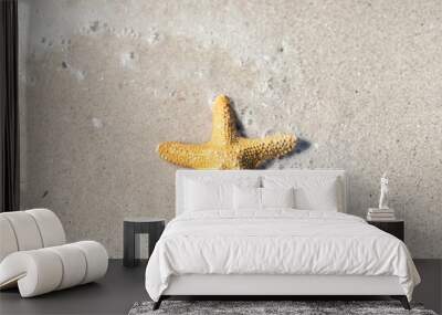 Starfish on the sand  Wall mural