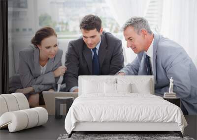 Business people working together on their laptop Wall mural