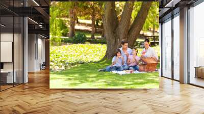 cute family picnicking in the park Wall mural