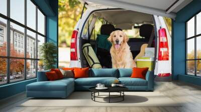 Domestic dog in car trunk Wall mural