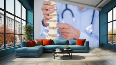 Female doctor holding spine model Wall mural