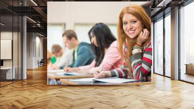 Female student with others writing notes in classroom Wall mural