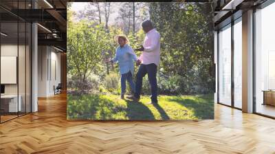 Happy african american senior couple walking, holding hands outdoors Wall mural