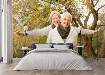 Senior couple in the park Wall mural