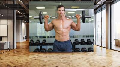 Shirtless muscular man lifting barbell in gym Wall mural