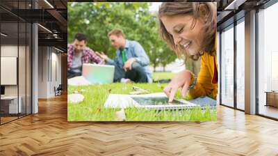 Student using tablet PC while males using laptop in park Wall mural