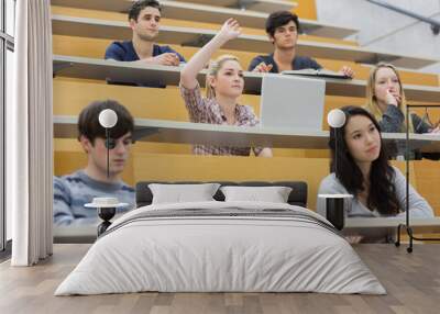 Students having a lesson in the lecture hall Wall mural