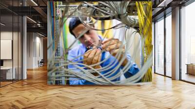 Technician fixing cable Wall mural