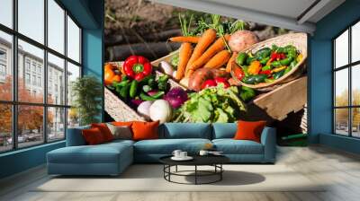 Various fresh vegetables in wheelbarrow Wall mural