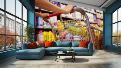 woman buy products with her trolley  Wall mural