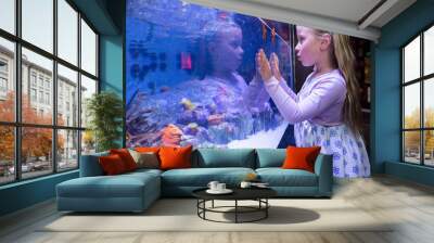 Young woman touching a starfish-tank  Wall mural