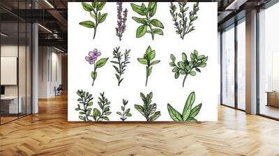 Freshly picked herbs, mindfulness in nature, hand-drawn style, isolated on white background Wall mural