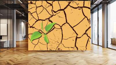 Plant sprouting in the desert Wall mural