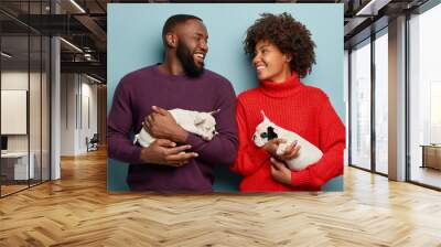 Horizontal view of cheerful couple in love have walk together with their puppies, look happily at each other, have dark skin, isolated over blue background. Positive human emotions, animals concept Wall mural