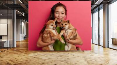 Positive pleasant looking young Asian female enjoys company with two beloved shiba inu dogs. Pedigree puppies with owner, being carried to vet clinic. Pink background. People and animals concept Wall mural