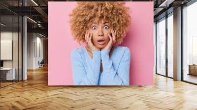 Shocked curly haired woman keeps hands on cheeks stares bugged eyes at camera has surprised exression holds breath wears casual blue jumper isolated over pink background. Human reactions concept Wall mural