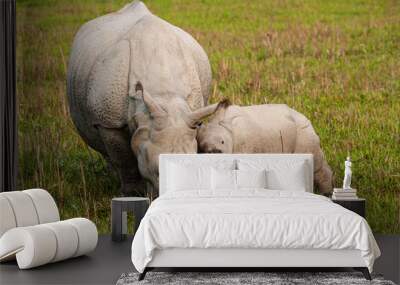 Greater one-horned Indian Rhino mom getting a snuggle from her calf  Wall mural