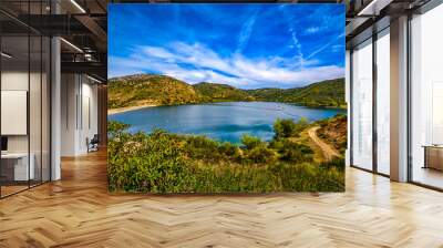 Lake Poway Scenic Wall mural