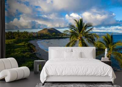 tropical island with palm trees Wall mural