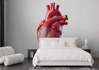 3D illustration of a human heart isolated on a plain background. Wall mural