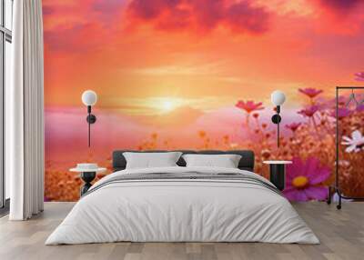 Beautiful sunset over the meadow with pink and white daisies Wall mural