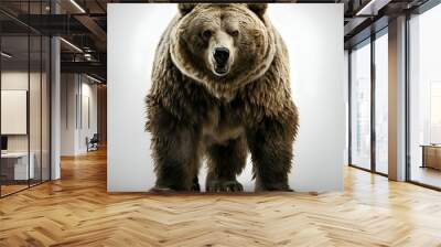 Portrait of a brown bear on a white background. 3d rendering Wall mural