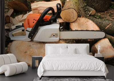 Gas powered chainsaw with wooden logs Wall mural