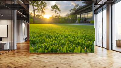 A luxury home backyard with a beautiful lawn at sunset. Wall mural