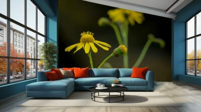 yellow flower on green background Wall mural