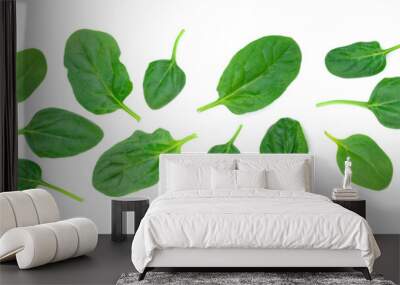 Group of spinach leaves isolated on white background in close-up (high details) Wall mural