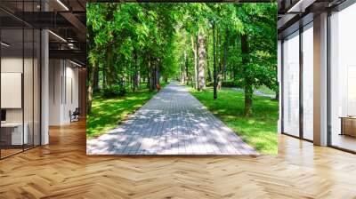 Stone pathway between green trees in a beautiful city park in a sunny summer day Wall mural