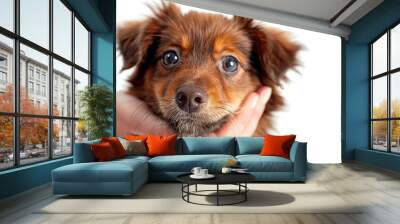 Adorable Puppy Portrait Wall mural