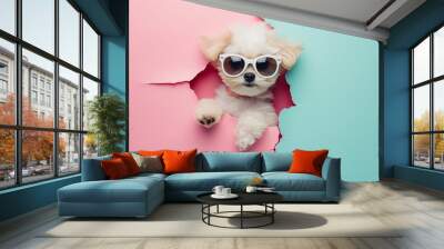 dog wearing sunglasses peeking out of a hole in pastel color, fluffy puppy jump out Wall mural