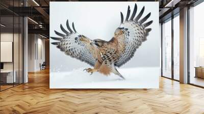 Hawk Taking Flight in Winter Wonderland Wall mural