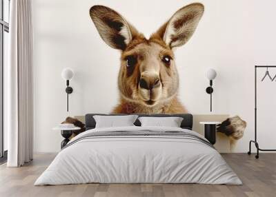 Kangaroo Holding Blank Sign Wall mural